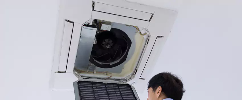 Benefits of Professional Air Duct Cleaning in Belvidere, Illinois