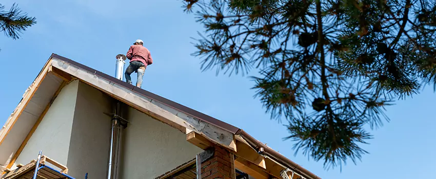 Birds Removal Contractors from Chimney in Belvidere, IL