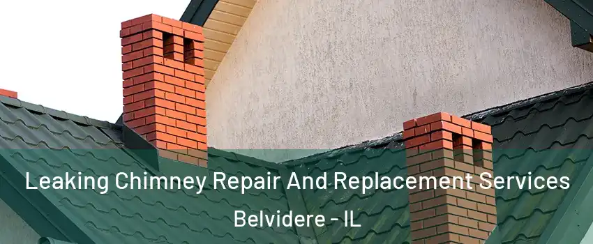  Leaking Chimney Repair And Replacement Services Belvidere - IL