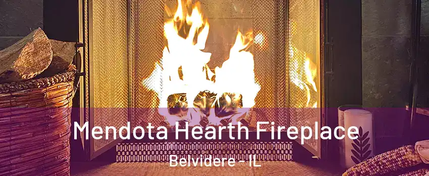  Mendota Hearth Fireplace Belvidere - IL