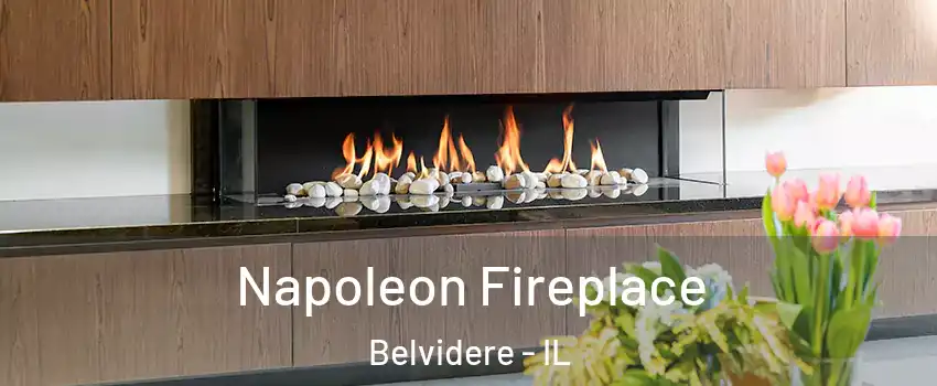  Napoleon Fireplace Belvidere - IL