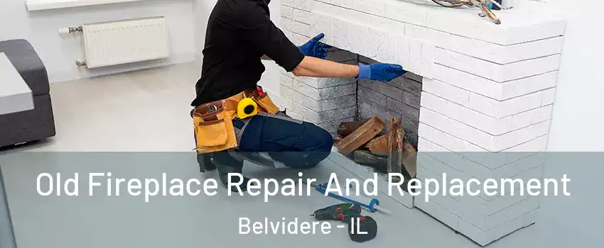  Old Fireplace Repair And Replacement Belvidere - IL