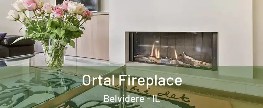  Ortal Fireplace Belvidere - IL