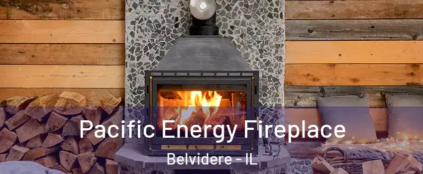  Pacific Energy Fireplace Belvidere - IL