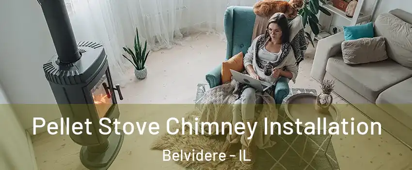  Pellet Stove Chimney Installation Belvidere - IL
