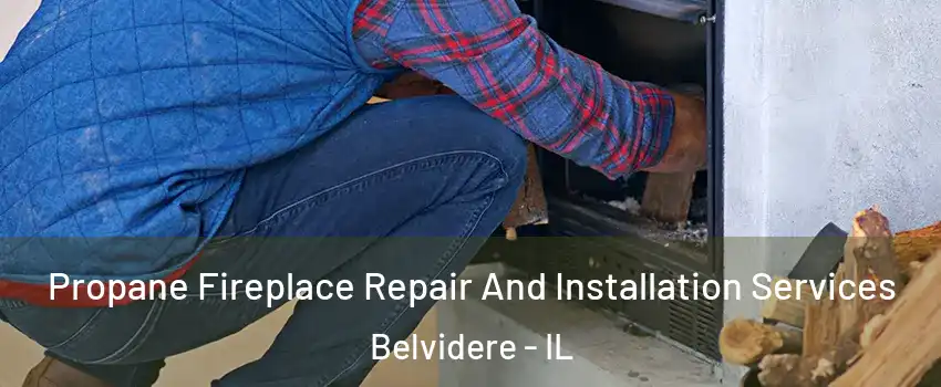  Propane Fireplace Repair And Installation Services Belvidere - IL