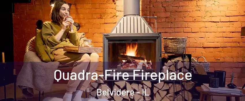  Quadra-Fire Fireplace Belvidere - IL