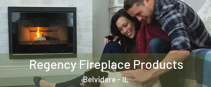  Regency Fireplace Products Belvidere - IL