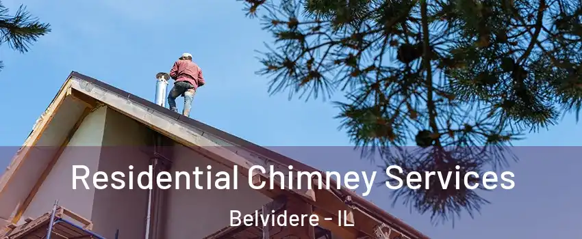  Residential Chimney Services Belvidere - IL