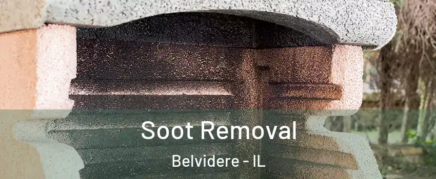  Soot Removal Belvidere - IL
