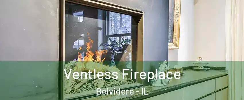  Ventless Fireplace Belvidere - IL
