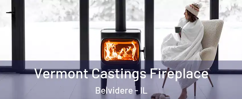  Vermont Castings Fireplace Belvidere - IL