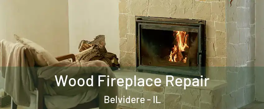  Wood Fireplace Repair Belvidere - IL