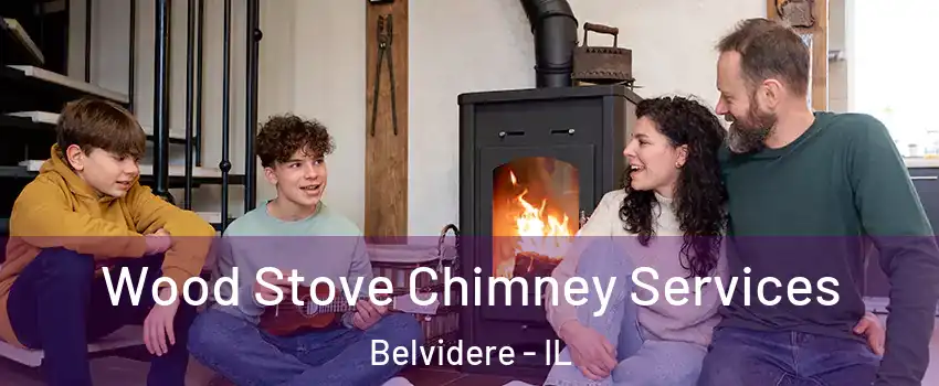  Wood Stove Chimney Services Belvidere - IL