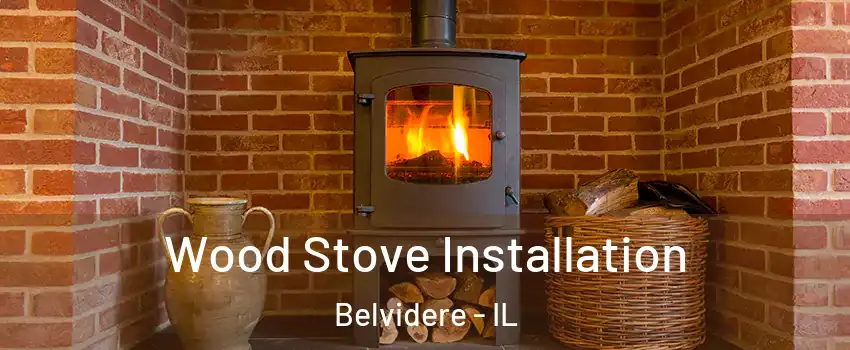  Wood Stove Installation Belvidere - IL